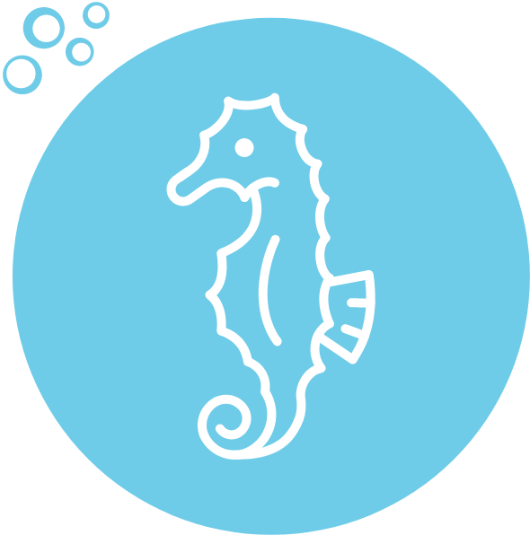 Sea Horse Icon Image